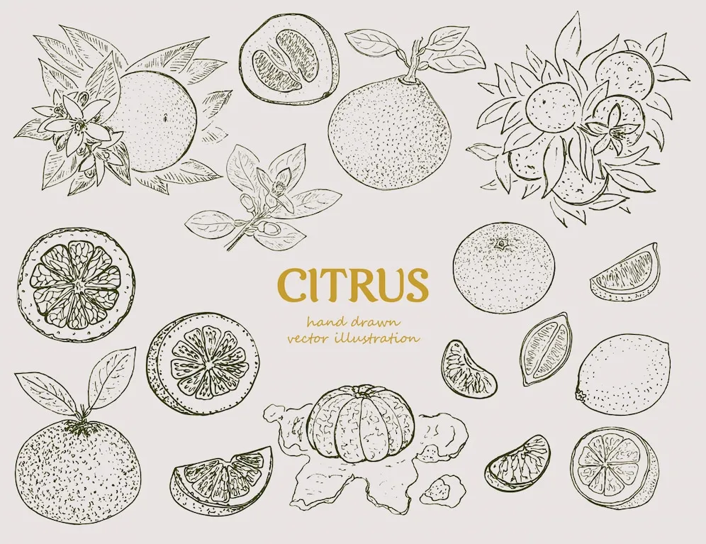 image of child recovery from injury