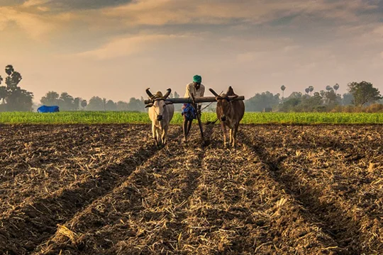 Farmer with organic produce