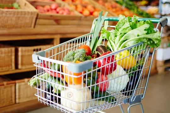 image of organic food