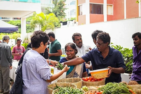 image of organic food