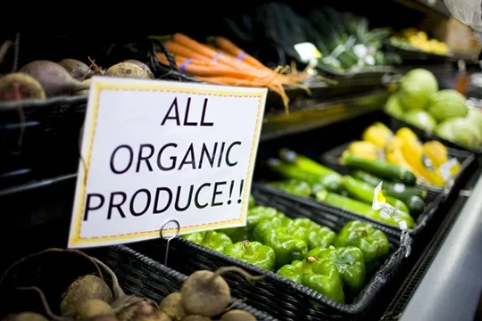 image of organic food